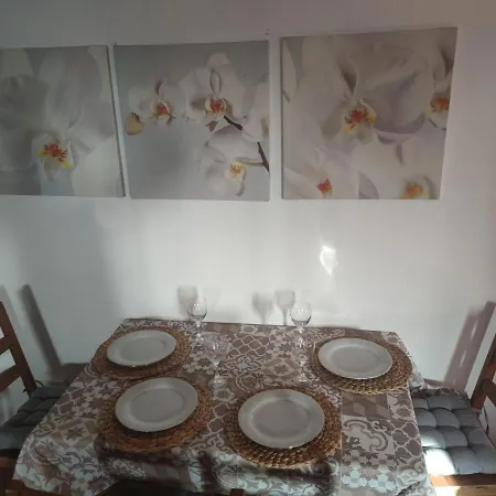 La Casa De Las Flores 펜션 *