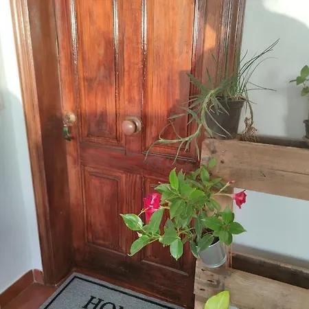 La Casa De Las Flores 펜션 *
